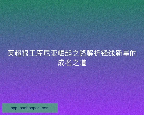 英超狼王库尼亚崛起之路解析锋线新星的成名之道